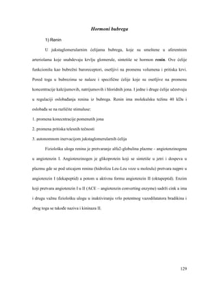 129
Hormoni bubrega
1) Renin
U jukstaglomerularnim ćelijama bubrega, koje su smeštene u aferentnim
arteriolama koje snabdevaju krvlju glomerule, sintetiše se hormon renin. Ove ćelije
funkcionišu kao bubrežni baroreceptori, osetljivi na promenu volumena i pritiska krvi.
Pored toga u bubrezima se nalaze i specifične ćelije koje su osetljive na promenu
koncentracije kalcijumovih, natrijumovih i hloridnih jona. I jedne i druge ćelije učestvuju
u regulaciji oslobađanja renina iz bubrega. Renin ima molekulsku težinu 40 kDa i
oslobađa se na različite stimuluse:
1. promena konecntracije pomenutih jona
2. promena pritiska telesnih tečnosti
3. autonomnom inervacijom jukstaglomerularnih ćelija
Fiziološka uloga renina je pretvaranje alfa2-globulina plazme - angiotenzinogena
u angiotenzin I. Angiotenzinogen je glikoprotein koji se sintetiše u jetri i dospeva u
plazmu gde se pod uticajem renina (hidroliza Leu-Leu veze u moleulu) pretvara najpre u
angiotenzin I (dekapeptid) a potom u aktivnu formu angiotenzin II (oktapeptid). Enzim
koji pretvara angiotenzin I u II (ACE – angiotenzin converting enzyme) sadrži cink a ima
i drugu važnu fiziološku ulogu u inaktiviranju vrlo potentnog vazodilatatora bradikina i
zbog toga se takođe naziva i kininaza II.
 