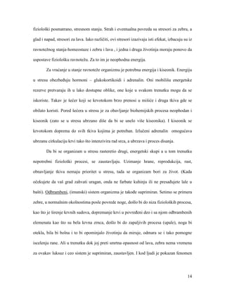 14
fiziološki posmatrano, stresnom stanju. Strah i eventualna povreda su stresori za zebru, a
glad i napad, stresori za lava. Iako različiti, ovi stresori izazivaju isti efekat, izbacuju su iz
ravnotežnog stanja-homeostaze i zebru i lava , i jedna i druga životinja moraju ponovo da
uspostave fiziološku ravnotežu. Za to im je neophodna energija.
Za vraćanje u stanje ravnoteže organizmu je potrebna energija i kiseonik. Energiju
u stresu obezbeđuju hormoni – glukokortikoidi i adrenalin. Oni mobilišu energetske
rezerve pretvaraju ih u lako dostupne oblike, one koje u svakom trenutku mogu da se
iskoriste. Takav je šećer koji se krvotokom brzo prenosi u mišiće i druga tkiva gde se
obilato koristi. Pored šećera u stresu je za obavljanje biohemijskih procesa neophodan i
kiseonik (zato se u stresu ubrzano diše da bi se unelo više kiseonika). I kiseonik se
krvotokom doprema do svih tkiva kojima je potreban. Izlučeni adrenalin omogućava
ubrzanu cirkulaciju krvi tako što intenzivira rad srca, a ubrzava i proces disanja.
Da bi se organizam u stresu rasteretio drugi, energetski skupi a u tom trenutku
nepotrebni fiziološki procesi, se zaustavljaju. Uzimanje hrane, reprodukcija, rast,
obnavljanje tkiva nemaju prioritet u stresu, tada se organizam bori za život. (Kada
očekujete da vaš grad zahvati uragan, onda ne farbate kuhinju ili ne presađujete lale u
bašti). Odbrambeni, (imunski) sistem organizma je takođe suprimiran. Setimo se primera
zebre, u normalnim okolnostima posle povrede noge, došlo bi do niza fizioloških procesa,
kao što je širenje krvnih sudova, dopremanje krvi u povređeni deo i sa njom odbrambenih
elemenata kao što su bela krvna zrnca, došlo bi do zapaljivih procesa (upale), noga bi
otekla, bila bi bolna i to bi opominjalo životinju da miruje, odmara se i tako pomogne
iscelenju rane. Ali u trenutku dok joj preti smrtna opasnost od lava, zebra nema vremena
za ovakav luksuz i ceo sistem je suprimiran, zaustavljen. I kod ljudi je pokazan fenomen
 