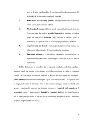 36
veze sa drugim membranskim ili citoplazmatičnim komponentama čiji
krajnji korak je nastanak sekundarnih glasnika.
3. Transmisija sekundarnog glasnika na odgovarajući efektor (enzimi,
jonski kanali, transkripcioni faktori).
4. Modulacija efektora predstavlja korak u transdukciji signala koji se u
često završava aktivacijom protein kinaza (koje « dodaju » fosfatne
grupe na proteine) i fosfataza (koje « skidaju » fosfatne grupe sa
proteina) te na taj način utiču na aktivnost drugih enzima i proteina.
5. Odgovor ćelija na stimulus predstavlja skup procesa koji nastaju kao
odgovor na jedan stimulus ili kombinaciju više stimulusa.
6. Završetak odgovora – određenim povratnim mehanizmima, na
pojedinom ili svim nivoima signalnog puta zaustavlja se proces iniciran
hormonom.
Dakle, definitivno je potvrđeno da bi signalni molekuli, među koje spadaju i
hormoni, mogli da ostvare svoje dejstvo, prethodno moraju da se vežu za receptore.
Postoji više kategorija receptornih proteina sa kojima hormoni mogu da interaguju :
jonski kanali (hormon se veže za receptor koji je sastavni deo kanala i na taj način utiče
na njegovo otvaranje ili zatvaranje čime se povećava ili samnjuje ulazak ili izlazak jona.
(primer : membranski receptori za tireoidne hormone) ; receptori koji reaguju sa G
proteinima (primer : kateholamini); katalitički receptori, kada su aktivirani ligandom
oni ili sami postaju enzim ili su deo nekog enzimskog kompleksa(primer : insulinski
receptori, recptori za faktore rasta) ;
 