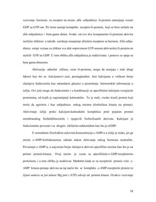 38
vezivanja hormona za receptor na mestu alfa subjedinice G-protein zamenjuje vezani
GDP sa GTP-om. Pri tome nastaje kompleks receptor-G-protein, koji se brzo razlaže na
alfa subjedinicu i beta-gama dimer. Svaka od ove dve komponente G-proteina aktivira
različite efektore a takođe uzrokuje smanjenje afiniteta receptora za hormon. Alfa subje-
dinica ostaje vezana za efektor sve dok sopstvenom GTP-aznom aktivnošću G-protein ne
razloži GTP na GDP. U tom obliku alfa subjedinica je inaktivirana i ponovo se spaja sa
beta-gama dimerom.
Aktivaciju adenilat ciklaze, osim G-proteina, mogu da menjaju i neki drugi
faktori kao što su kalcijumovi joni, prostaglandini. Joni kalcijuma u velikom broju
slučajeva funkcionišu kao sekundarni glasnici u prenošenju hormonskih informacija u
ćeliju. Ovi joni mogu da funkcionišu i u kombinaciji sa specifičnim kalcijum-vezujućim
proteinima, od kojih je najznačajniji kalmodulin. To je mali, visoko kiseli protein koji
može da egzistira i kao subjedinica nekog enzima (fosforilaza kinaza na primer).
Aktiviranje ćelije preko kalcijum-kalmodulin kompleksa prati pojačan promet
membranskog fosfatidilinozitola i njegovih fosforilisanih derivata. Kalcijum je
funkcionalno povezan i sa drugim cikličnim nukleotidom kao što je cGMP.
U normalnim fiziološkim uslovima koncentracija c-AMP-a u ćeliji je niska, jer ga
enzim c-AMP-fosfodiesteraza odmah nakon delovanja nekog hormona neutrališe.
Povećanje c-AMP-a, u najvećem broju slučajeva aktivira specifične enzime kao što je na
primer protein-kinaza. Ovaj enzim je vezan sa specifičnim c-AMP-receptornim
proteinom, i u tom obliku je neaktivan. Međutim kada se za receptorni protein veže c-
AMP kinaza postaje aktivna na taj način što se kompleks c-AMP-receptorni protein (u
čijem sastavu se još nalaze Mg joni i ATP) odvoji od protein kinaze. Ovakvo vezivanje
 