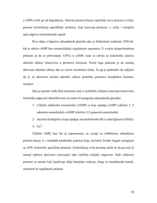 39
c-AMP-a štiti ga od degradacije. Aktivna protein kinaza započinje nove procese u ćeliji,
procese fosforilacije specifičnih proteina, koji izazivaju promene u ćeliji i integrišu
njen odgovor na hormonski signal.
Prvu ideju o hipotezi sekundarnih glasnika dao je Sutherland sredinom 1950-tih.
On je otkrio cAMP kao unutarćelijsku regulatornu supstancu. U svojim eksperimentima
pokazao je da se pretvaranje ATP-a u cAMP, koje se odvija uz katalitičko dejstvo
adenilat ciklaze intenzivira u prisustvu hormona. Pored toga pokazao je da nestaje
aktivnost adenilat ciklaze ako se razore membrane ćelija. To ga je podstaklo da zaključi
da je za aktivnost enzima adenilat ciklaze potrebno prisustvo kompleksa hormon-
receptor.
Iako je poznat veliki broj hormona, koji u različitim ćelijama izazivaju raznovrsne
fiziološke odgovore identifikovane su samo tri kategorije sekundarnih glasnika:
1- Ciklični nukleotid monofosfati (cNMP) u koje spadaju cAMP (ciklični 3, 5
adenosin-monofosfat) i cGMP (ciklični 3,5 guanozin monofosfat).
2- Inozitol fosfolipidi u koje spadaju inozitoltrifosfat (IP3) i diacilglicerol (DAG)
3- Ca2+
Ciklični AMP, kao što je napomenuto, se vezuje za inhibitornu subjedinicu
protein kinaze A i oslobađa katalitičku jedinicu koja, koristeći fosfate bogate energijom
sa ATP, fosforiliše specifične proteine. Fosforilacija ovih proteina može ili da poveća ili
smanji njihovu aktivnost izazivajući tako različite ćelijske odgovore. Neki efektorni
proteini su enzimi koji katalizuju dalje hemijske reakcije, drugi su membranski kanali,
strukturni ili regulatorni proteini.
 