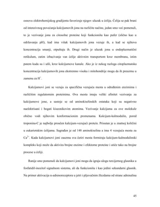 45
osnovu elektrohemijskog gradijenta favorizuje njegov ulazak u ćeliju. Ćelija se pak brani
od intenzivnog povećanja kalcijumovih jona na različite načine, jedan smo već pomenuli,
to je vezivanje jona za citosolne proteine koji funkcionišu kao pufer (slično kao u
održavanju pH), kad ima višak kalcijumovih jona vezuje ih, a kad se njihova
koncentracija smanji, otpuštaju ih. Drugi način je ulazak jona u endoplazmatični
retikulum, zatim izbacivanje van ćelije aktivnim transportom kroz membranu, istim
putem kuda su i ušli, kroz kalcijumove kanale. Ako je iz nekog razloga citoplazmatska
koncentracija kalcijumovih jona ekstremno visoka i mitohondrije mogu da ih preuzmu u
zamenu za H+
.
Kalcijumovi joni se vezuju za specifična vezujuća mesta u određenim enzimima i
različitim regulatornim proteinima. Ova mesta imaju veliki afinitet vezivanja za
kalcijumove jone, a sastoje se od aminokiselinskih ostataka koji su negativno
naelektrisani i bogati kiseonikovim atomima. Vezivanje kalcijuma za ove molekule
obično vodi njihovim konformacionim promenama. Kalcijum-kalmodulin, pored
troponina-C je najbolje proučen kalcijum-vezujući protein. Prisutan je u znatnoj količini
u eukariotskim ćelijama. Sagrađen je od 148 aminokiselina a ima 4 vezujuća mesta za
Ca2+
. Kada kalcijumovi joni zauzmu sva četiri mesta formiraju kalcijum-kalmodulinski
kompleks koji može da aktivira brojne enzime i efektorne proteine i utiče tako na brojne
procese u ćeliji.
Ranije smo pomenuli da kalcijumovi joni mogu da igraju ulogu tercijernog glasnika u
fosfatidil-inozitol signalnom sistemu, ali da funkcionišu i kao jedini sekundarni glasnik.
Na primer aktivacija α-adrenoreceptora u jetri i pljuvačnim žlezdama od strane adrenalina
 