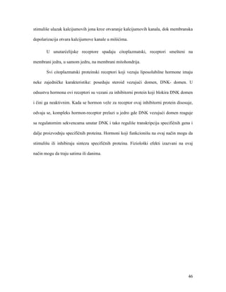 46
stimuliše ulazak kalcijumovih jona kroz otvaranje kalcijumovih kanala, dok membranska
depolarizacija otvara kalcijumove kanale u mišićima.
U unutarćelijske receptore spadaju citoplazmatski, receptori smešteni na
membrani jedra, u samom jedru, na membrani mitohondrija.
Svi citoplazmatski proteinski receptori koji vezuju liposolubilne hormone imaju
neke zajedničke karakteristike: poseduju steroid vezujući domen, DNK- domen. U
odsustvu hormona ovi receptori su vezani za inhibitorni protein koji blokira DNK domen
i čini ga neaktivnim. Kada se hormon veže za receptor ovaj inhibitorni protein disosuje,
odvaja se, kompleks hormon-receptor prelazi u jedro gde DNK vezujući domen reaguje
sa regulatornim sekvencama unutar DNK i tako reguliše transkripciju specifičnih gena i
dalje proizvodnju specifičnih proteina. Hormoni koji funkcionišu na ovaj način mogu da
stimulišu ili inhibiraju sintezu specifičnih proteina. Fiziološki efekti izazvani na ovaj
način mogu da traju satima ili danima.
 