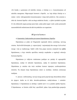 49
vrlo kratak, u granicama od nekoliko minuta, a izlučuju se u koncentracijama od
nekoliko nanograma. Odgovarajući hormoni u hipofizi, na koje deluju izlučuju se u
znatno većim mikrogramskim koncentracijama i imaju duži poluživot. Ako uzmemo u
obzir da hormoni hipofize utiču na druge endokrine žlezde, a njihovi produkti na jedan
ili više efektornih organa postaje jasno kako jedan jedini signal može preko pomenutih
neuroendokrinih mehanizama da aktivira praktično ceo organizam.
H i p o t a l a m u s
a) Anatomska i funkcionalna povezanost hipotalamusa i hipofize
Hipotalamus je jedan od filogenetski najstarijih delova centralnog nervnog
sistema. Kod nižih kičmenjaka je najrazvijeniji i najznačajniji deo mozga. Leži na bazi
mozga i deo je međumozga. Sadrži veliki broj grupa neurona označenih kao jedra
hipotalamusa, a koja sintetišu specifične materije neophodne u regulaciji sekrecije
hormona hipofize.
Hipotalamus je vidljivim strukturama podeljen na: prednji ili supraoptički
hipotalamus, srednji ili tuberalni hipotalamus, zadnji ili mamilarni hipotalamus.
Hipotalamus je smešten oko treće moždane komore ispunjene cerebrospinalnom
tečnošću. Na donjem kraju hipotalamusa nalazi se moždana struktura eminencija
medijana.
U procesu embrionalnog razvoja mozga posle pojavljivanja diencefalona dolazi
do njegove deobe na tri dela: dorzalni-epitalamus; srednji-talamus i ventralni-
hipotalamus. U hipotalamusu se ukrštaju i optički nervi i to u predelu optičke hijazme.
U hipotalamusu se formira veliki broj specifičnih jedara koja predstavljaju grupacije
 