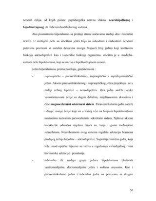 50
nervnih ćelija, od kojih polaze peptidergička nervna vlakna neurohipofiznog i
hipofizotropnog ili tuberoinfundibularnog sistema.
Ako posmatramo hipotalamus sa prednje strane uočavamo srednji deo i lateralne
delove. U srednjem delu su smeštena jedra koja su ushodnim i nishodnim nervnim
putevima povezani sa ostalim delovima mozga. Najveći broj jedara koji kontrolišu
funkciju adenohipofize kao i visceralne funkcije organizma, smešten je u medioba-
zalnom delu hipotalamusa, koji se naziva i hipofizotropnom zonom.
Jedra hipotalamusa, prema položaju, grupišemo na :
- supraoptička - paraventrikularno, supraoptičko i suprahijazmatično
jedro. Aksoni paraventrikularnog i supraoptičkog jedra projektuju se u
zadnji režanj hipofize – neurohipofizu. Ova jedra sadrže velike
vaskularizovane ćelije sa dugim debelim, mijelizovanim aksonima i
čine magnocelularni sekretorni sistem. Paraventrikularna jedra sadrže
i druge, manje ćelije koje su u tesnoj vezi sa brojnim hipotalamičnim
neuronima nazvanim parvocelularni sekretorni sistem. Njihove aksone
karakteriše odsustvo mijelina, kraća su, tanja i gusto međusobno
isprepletana. Neurohormoni ovog sistema regulišu sekreciju hormona
prednjeg režnja hipofize – adenohipofize. Suprahijazmatična jedra, koja
leže iznad optičke hijazme su važna u regulisanju cirkadijalnog ritma
hormonske sekrecije i ponašanja.
- tuberalna ili srednja grupa jedara hipotalamusa obuhvata
ventromedijalna, dorzomedijalna jedra i nukleus arcuatus. Kao i
paraventrikularno jedro i tuberalna jedra su povezana sa drugim
 