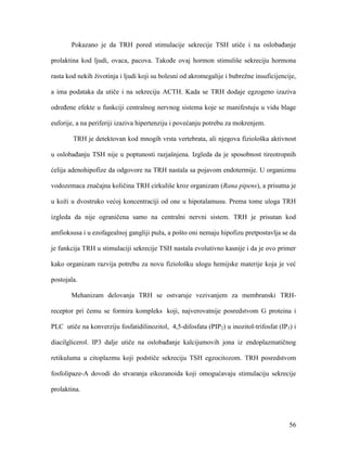 56
Pokazano je da TRH pored stimulacije sekrecije TSH utiče i na oslobađanje
prolaktina kod ljudi, ovaca, pacova. Takođe ovaj hormon stimuliše sekreciju hormona
rasta kod nekih životinja i ljudi koji su bolesni od akromegalije i bubrežne insuficijencije,
a ima podataka da utiče i na sekreciju ACTH. Kada se TRH dodaje egzogeno izaziva
određene efekte u funkciji centralnog nervnog sistema koje se manifestuju u vidu blage
euforije, a na periferiji izaziva hipertenziju i povećanju potrebu za mokrenjem.
TRH je detektovan kod mnogih vrsta vertebrata, ali njegova fiziološka aktivnost
u oslobađanju TSH nije u poptunosti razjašnjena. Izgleda da je sposobnost tireotropnih
ćelija adenohipofize da odgovore na TRH nastala sa pojavom endotermije. U organizmu
vodozemaca značajna količina TRH cirkuliše kroz organizam (Rana pipens), a prisutna je
u koži u dvostruko većoj koncentraciji od one u hipotalamusu. Prema tome uloga TRH
izgleda da nije ograničena samo na centralni nervni sistem. TRH je prisutan kod
amfioksusa i u ezofagealnoj gangliji puža, a pošto oni nemaju hipofizu pretpostavlja se da
je funkcija TRH u stimulaciji sekrecije TSH nastala evolutivno kasnije i da je ovo primer
kako organizam razvija potrebu za novu fiziološku ulogu hemijske materije koja je već
postojala.
Mehanizam delovanja TRH se ostvaruje vezivanjem za membranski TRH-
receptor pri čemu se formira kompleks koji, najverovatnije posredstvom G proteina i
PLC utiče na konverziju fosfatidilinozitol, 4,5-difosfata (PIP2) u inozitol-trifosfat (IP3) i
diacilglicerol. IP3 dalje utiče na oslobađanje kalcijumovih jona iz endoplazmatičnog
retikuluma u citoplazmu koji podstiče sekreciju TSH egzocitozom. TRH posredstvom
fosfolipaze-A dovodi do stvaranja eikozanoida koji omogućavaju stimulaciju sekrecije
prolaktina.
 