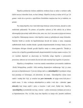 63
Hipofiza predstavlja složenu endokrinu strukturu koja se nalazi u turskom sedlu
(Sella turcica) sfenoidne kosti, na bazi lobanje. Hipofiza čoveka je težine od 0,5 go 1,0
grama i može da se poveća u specifičnim fiziološkim stanjima kao što je trudnoća, na
primer.
Na značaj hipofize, kao i kod otkrivanja funkcije većine hormona, ukazali su neki
medicinski pokazatelji. Na primer, od posebne važnosti je bilo otkriće da je bolest
akromegalija (povećanje nekih delova tela, usne, nos, lice) povezana sa pojavom tumora
na hipofizi. Odstranjenje tumora i dela hipofize znatno je poboljšavalo stanje bolesnika.
Naučnik Smith je utvrdio da hipofizektomija dovodi do zastoja u rastu, smanjenja
nadbubrežnih žlezdi, tiroidne žlezde i gonada eksperimentalnih životinja. Kada je ovim
životinjama ubrizgao ekstrakt goveđe hipofize stanje se znatno popravilo. Takođe je
uočeno da se hipofiza gonadektomisanih eksperimentalnih životinja znatno uvećava. Svi
ovi rezultati doprineli su ukazivanju na fiziološku ulogu hipofize u pomenutim
procesima, odnosno na verovatnoću da ona luči neke materije koje regulišu ove procese.
Hipofiza je kompleksna tvorevina nastala anatomskom povezanošću endokrine
žlezde faringejalnog porekla i dela nastalog ekspanzijom međumozga koji je ostao
povezan sa hipotalamusom. U prvom slučaju radi se o adenohipofizi ili prednjem režnju
koji poseduju svi kičmenjaci, od ciklostoma do sisara. Adenohipofiza većine sisara
sadrži i srednji deo koji je označen kao pars intermedia, ali njega nema kod ptica i
nekih sisara. U toku evolucije adenohipofiza je stekla i treći deo - tuberalni (pars
tuberalis) koji imaju reptili i ptice a izuzetno i neki sisari. Zadnji deo hipofize,
neurohipofiza je produžetak nervnog sistema i preko eminencije medijane povezan je
sa hipotalamusom. Ova tri dela, koja čine hipofizu su manje-više posebni endokrini
 