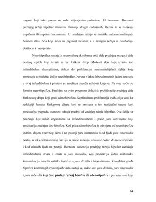 64
organi koji luče, prema do sada objavljenim podacima, 13 hormona. Hormoni
prednjeg režnja hipofize stimulišu funkcije drugih endokrinih žlezda te se nazivaju
tropičnim ili tropnim hormonima. U srednjem režnju se sintetiše melanostimulirajući
hormon alfa i beta koji utiču na pigment melanin, a u zadnjem režnju se oslobađaju
oksitocin i vazopresin.
Neurohipofiza nastaje iz neuronalnog ektoderma poda dela prednjeg mozga, i dela
oralnog epitela koji izrasta u tzv Ratkeov džep. Moždani deo dalje izrasta kao
infundibulum diencefalona, dolazi do proliferacije neuroepitelijalnih ćelija koje
prerastaju u pituicite, ćelije neurohipofize. Nervna vlakna hipotalamusnih jedara urastaju
u ovaj infundibulum i pituicite se smeštaju između njihovih krajeva. Na ovaj način se
formira neurohipofiza. Paralelno sa ovim procesom dolazi do proliferacije prednjeg dela
Ratkeovog džepa koji gradi adenohipofizu. Kontinuirana proliferacija ovih ćelija vodi ka
redukciji lumena Ratkeovog džepa koji se pretvara u tzv rezidualni rascep koji
predstavlja pregradu, odnosno odvaja prednji od zadnjeg režnja hipofize. Ove ćelije se
povezuju kod nekih organizama sa infundibulumom i grade pars intermedia koji
predstavlja značajan deo hipofize. Kod ptica adenohipofiza je odvojena od neurohipofize
jednim slojem vezivnog tkiva i ne postoji pars intermedia. Kod ljudi pars intermedia
postoji u toku embrionalnog razvoja, u ranom razvoju, a kasnije dolazi do njene regresije
i kod odraslih ljudi ne postoji. Dorzalna ekstenzija prednjeg režnja hipofize okružuje
infundibularnu dršku i izrasta u pars tuberalis, koji predstavlja važnu anatomsku
komunikaciju između ostatka hipofize - pars distalis i hipotalamusa. Kompletna građa
hipofize kod mnogih životinjskih vrsta sastoji se, dakle, od: pars distalis, pars intermedia
i pars tuberalis koji čine prednji režanj hipofize ili adenohipofizu i pars nervosa koji
 
