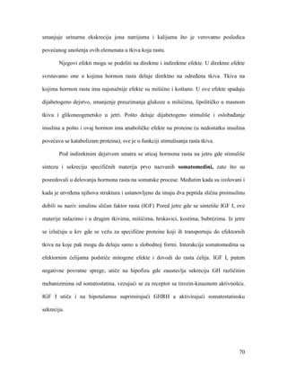 70
smanjuje urinarnu ekskreciju jona natrijuma i kalijuma što je verovatno posledica
povećanog unošenja ovih elemenata u tkiva koja rastu.
Njegovi efekti mogu se podeliti na direktne i indirektne efekte. U direktne efekte
svrstavamo one u kojima hormon rasta deluje direktno na određena tkiva. Tkiva na
kojima hormon rasta ima najsnažnije efekte su mišićno i koštano. U ove efekte spadaju
dijabetogeno dejstvo, smanjenje preuzimanja glukoze u mišićima, lipolitičko u masnom
tkivu i glikoneogenetsko u jetri. Pošto deluje dijabetogeno stimuliše i oslobađanje
insulina a pošto i ovaj hormon ima anaboličke efekte na proteine (u nedostatku insulina
povećava se katabolizam proteina), sve je u funkciji stimulisanja rasta tkiva.
Pod indirektnim dejstvom smatra se uticaj hormona rasta na jetru gde stimuliše
sintezu i sekreciju specifičnih materija prvo nazvanih somatomedini, zato što su
posredovali u delovanju hormona rasta na somatske procese. Međutim kada su izolovani i
kada je utvrđena njihova struktura i ustanovljeno da imaju dva peptida slična proinsulinu
dobili su naziv isnulinu sličan faktor rasta (IGF) Pored jetre gde se sintetiše IGF I, ove
materije nalazimo i u drugim tkivima, mišićima, hrskavici, kostima, bubrezima. Iz jetre
se izlučuju u krv gde se vežu za specifične proteine koji ih transportuju do efektornih
tkiva na koje pak mogu da deluju samo u slobodnoj formi. Interakcija somatomedina sa
efektornim ćelijama podstiče mitogene efekte i dovodi do rasta ćelija. IGF I, putem
negativne povratne sprege, utiče na hipofizu gde zaustavlja sekreciju GH različitim
mehanizmima od somatostatina, vezujući se za receptor sa tirozin-kinaznom aktivnošću.
IGF I utiče i na hipotalamus suprimirajući GHRH a aktivirajući somatostatinsku
sekreciju.
 