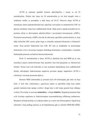75
ACTH je najmanji peptidni hormon adenohipofize i sastoji se od 39
aminokiselina. Početni deo lanca do 24 aminokiseline je isti kod mnogih vrsta a
strukturne razlike su pronađene u delu lanca od 24-33. Osnovna uloga ACTH je
stimulacija sinteze glukokortikoida koju započinje vezivanjem za melanokortin-2-RC na
plazma membrani ćelija kore nadbubrežnih žlezdi. Dalji prenos signala posredstvom G-
proteina odvija se aktiviranjem adenilat-ciklaze i povećanjem koncentracije cAMP-a.
Povećana koncentracija cAMP-a dovodi do aktivacije specifične protein-kinaze-A, koja
dalje fosforiliše SSC enzim, preko koga se stimuliše nastanak holesterola iz holesterol-
estara. Ovaj protein funkcioniše kao LDL RC koji je neophodan za preuzimanje
holesterola iz krvi, favorizuje transport slobodnog holesterola u mitohondrije i stimulišu
biohemijske promene na bočnim lancima holesterola.
Prvih 13 aminokiselina u lancu ACTH je identično kao kod MSH pa je zato
razumljivo pojava tamne-bronzane boje (posebno lica) kod pacijenata sa Adisonovom
bolešću. Naime kod ovih bolesnika se kao posledica hipofunkcije kore nadbubrežnih
žlezda, zahvaljujući funkcionisanju negativne povratne sprege, nagomilava ACTH u
cirkulaciji i ostvaruje pomenuto dejstvo.
Hormon MSH (intermedin) je prisutan kod svih kičmenjaka gde utiče na boju
kože. U koži riba, vodozemaca i gmizavaca nalaze se specifične ćelije koje sadrže
granule melanina koje upijaju svetlost i druge koje u sebi imaju granule koje odbijaju
svetlost. Prve ćelije se nazivaju melanofore, a druge iridofore. Regulacija promene boje
ovih životinja regulisana je funkcionisanjem neuroendokrinog refleksnog mehanizma.
Receptori od kojih počinje ova reakcija nalaze se u retini oka (fotoreceptori). Signali koji
informišu o boji podloge prenose se do hipotalamusa gde se sintetiše MSH-RH (MSH-
 