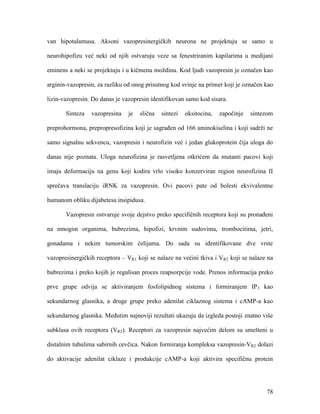 78
van hipotalamusa. Aksoni vazopresinergičkih neurona ne projektuju se samo u
neurohipofizu već neki od njih ostvaruju veze sa fenestriranim kapilarima u medijani
eminens a neki se projektuju i u kičmenu moždinu. Kod ljudi vazopresin je označen kao
arginin-vazopresin, za razliku od onog prisutnog kod svinje na primer koji je označen kao
lizin-vazopresin. Do danas je vazopresin identifikovan samo kod sisara.
Sinteza vazopresina je slična sintezi oksitocina, započinje sintezom
preprohormona, prepropresofizina koji je sagrađen od 166 aminokiselina i koji sadrži ne
samo signalnu sekvencu, vazopresin i neurofizin već i jedan glukoprotein čija uloga do
danas nije poznata. Uloga neurofizina je rasvetljena otkrićem da mutanti pacovi koji
imaju deformaciju na genu koji kodira vrlo visoko konzerviran region neurofizina II
sprečava translaciju iRNK za vazopresin. Ovi pacovi pate od bolesti ekvivalentne
humanom obliku dijabetesa insipidusa.
Vazopresin ostvaruje svoje dejstvo preko specifičnih receptora koji su pronađeni
na mnogim organima, bubrezima, hipofizi, krvnim sudovima, trombocitima, jetri,
gonadama i nekim tumorskim ćelijama. Do sada su identifikovane dve vrste
vazopresinergičkih receptora – VR1 koji se nalaze na većini tkiva i VR2 koji se nalaze na
bubrezima i preko kojih je regulisan proces reapsorpcije vode. Prenos informacija preko
prve grupe odvija se aktiviranjem fosfolipidnog sistema i formiranjem IP3 kao
sekundarnog glasnika, a druge grupe preko adenilat ciklaznog sistema i cAMP-a kao
sekundarnog glasnika. Međutim najnoviji rezultati ukazuju da izgleda postoji znatno više
subklasa ovih receptora (VR2). Receptori za vazopresin najvećim delom su smešteni u
distalnim tubulima sabirnih cevčica. Nakon formiranja kompleksa vazopresin-VR2 dolazi
do aktivacije adenilat ciklaze i produkcije cAMP-a koji aktivira specifičnu protein
 