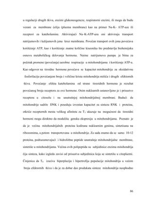 86
u regulaciji drugih tkiva, enzimi glukoneogeneze, respiratorni enzimi, ili mogu da budu
vezani za membrane ćelija (plazma membrane) kao na primer Na-K- ATP-aze ili
receptori za kateholamine. Aktivirajući Na–K-ATP-azu oni aktiviraju transport
natrijumovih i kalijumovih jona kroz membranu. Povećan transport ovih jona povećava
korišćenje ATP, kao i korišćenje znatne količine kiseonika što predstavlja biohemijsku
osnovu metaboličkog delovanja hormona. Naime natrijumova pumpa je bitna za
početak promene (povećanja) aerobne respiracije u mitohondrijama i korišćenje ATP-a.
Kao odgovor na tiroidne hormone povećava se kapacitet mitohondrija za oksidativnu
fosforilaciju povećanjem broja i veličine krista mitohondrija mišića i drugih efektornih
tkiva. Povećanje efekta kateholamina od strane tireoidnih hormona je rezultat
povećanog broja receptora za ove hormone. Osim nuklearnih ustanovljeno je i prisustvo
receptora u citosolu i na unutrašnjoj mitohondrijalnoj membrani. Budući da
mitohondrije sadrže DNK i poseduju izvestan kapacitet za sintezu RNK i proteina,
otkriće receptornih mesta velikog afiniteta za T3 ukazuje na mogućnost da tireoidni
hormoni mogu direktno da modulišu gensku ekspresiju u mitohondrijama. Poznato je
da je većina mitohondrijalnih proteina kodirana nuklearnim genima, sintetisana na
ribozomima, a potom transportovana u mitohondrije. Za sada znamo da se samo 10-12
proteina, podrazumevajući i hidrofobne peptide unutrašnje mitohondrijalne membrane,
sintetiše u mitohondrijama. Većina ovih polipeptida su subjedinice enzima mitohondrija
čija sinteza, kako izgleda zavisi od prisustva subjedinica koja se sintetišu u citoplazmi.
Činjenica da T4 izaziva hiperplaziju i hipertrofiju populacije mitohondrija u većem
broju efektornih tkiva i da je za dobar deo produkata sinteze mitohondrija neophodno
 