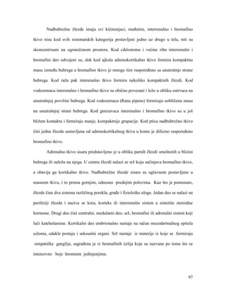 97
Nadbubrežne žlezde imaju svi kičmenjaci, međutim, interrenalno i hromafino
tkivo nisu kod svih sistematskih kategorija postavljeni jedno uz drugo u telu, niti su
skoncentrisani na ograničenom prostoru. Kod ciklostoma i većine riba interrenalni i
hromafini deo odvojeni su, dok kod ajkula adrenokortikalno tkivo formira kompaktnu
masu između bubrega a hromafino tkivo je mnogo šire raspoređeno sa unutrašnje strane
bubrega. Kod raža pak interenalno tkivo formira nekoliko kompaktnih žlezdi. Kod
vodozemaca interenalno i hromafino tkivo su obično povezani i leže u obliku ostrvaca na
unutrašnjoj površini bubrega. Kod vodozemaca (Rana pipens) formiraju uobličenu masu
na unutrašnjoj strani bubrega. Kod gmizavaca interenalno i hromafino tkivo su u još
bližem kontaktu i formiraju manje, kompaktnije grupacije. Kod ptica nadbubrežno tkivo
čini jedna žlezda sastavljena od adrenokortikalnog tkiva u kome je difuzno raspoređeno
hromafino tkivo.
Adrenalno tkivo sisara predstavljeno je u obliku parnih žlezdi smeštenih u blizini
bubrega ili naležu na njega. U centru žlezdi nalazi se srž koju sačinjava hromafino tkivo,
a obavija ga kortikalno tkivo. Nadbubrežne žlezde sisara su uglavnom postavljene u
masnom tkivu, i to prema gornjim, odnosno prednjim polovima. Kao što je pomenuto,
žlezde čine dva sistema različitog porekla, građe i fiziološke uloge. Jedan deo se nalazi na
periferiji žlezda i naziva se kora, korteks ili interrenalni sistem a sintetiše steroidne
hormone. Drugi deo čini centralni, medularni deo, srž, hromafini ili adrenalni sistem koji
luči kateholamine. Kortikalni deo embrionalno nastaje na račun mezodermalnog epitela
celoma, odakle postaju i seksualni organi. Srž nastaje iz materije iz koje se formiraju
simpatičke ganglije, sagrađena je iz hromafinih ćelija koje su nazvane po tome što se
intenzivno boje hromnim jedinjenjima.
 