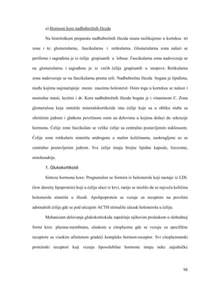 98
a) Hormoni kore nadbubrežnih žlezda
Na histološkom preparatu nadbubrežnih žlezda sisara razlikujemo u korteksu tri
zone i to: glomerularnu, fascikularnu i retikularnu. Glomerularna zona nalazi se
periferno i sagrađena je iz ćelija grupisanih u lobuse. Fascikularna zona nadovezuje se
na glomerularnu i sagrađena je iz većih ćelija grupisanih u snopove. Retikularna
zona nadovezuje se na fascikularnu prema srži. Nadbubrežna žlezda bogata je lipidima,
među kojima najznačajnije mesto zauzima holesterol. Osim toga u korteksu se nalaze i
neutralne masti, lecitini i dr. Kora nadbubrežnih žlezda bogata je i vitaminom C. Zona
glomerulosa koja sintetiše mineralokortikoide ima ćelije koje su u obliku stuba sa
sferičnim jedrom i glatkom površinom osim na delovima u kojima dolazi do sekrecije
hormona. Ćelije zone fascikulate se velike ćelije sa centralno postavljenim nukleusom.
Ćelije zone retikularis sintetišu androgene u malim količinama, zaokrugljene su sa
centralno postavljenim jedrom. Sve ćelije imaju brojne lipidne kapsule, lizozome,
mitohondrije.
1. Glukokortikoidi
Sinteza hormona kore: Pregnenolon se formira iz holesterola koji nastaje iz LDL
(low density lipoprotein) koji u ćeliju ulazi iz krvi, ranije se mislilo da se najveća količina
holesterola sintetiše u žlezdi. Apolipoprotein se vezuje za receptore na površini
adrenalnih ćelija gde se pod uticajem ACTH stimuliše ulazak holesterola u ćeliju.
Mehanizam delovanja glukokortiokida započinje njihovim prolaskom u slobodnoj
formi kroz plazma-membranu, ulaskom u citoplazmu gde se vezuju za specifične
receptore sa visokim afinitetom gradeći kompleks hormon-receptor. Svi citoplazmatski
proteinski receptori koji vezuju liposolubilne hormone imaju neke zajedničke
 