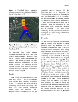Henry 3
Figure 2. Waterfowl Survey Locations
(observation points) on Lake Reba, Madison
Co., KY, Oct.-Dec., 2013
Figure 3. Sections of Lake Reba, Madison
co., KY, surveyed (scanned) for waterfowl,
Oct.-Dec., 2013
To determine how similar species
composition of waterfowl using Lake Reba
between months October, November, and
part of December, Simpson’s Index (Ss) of
Similarity was used to determine similarity
between waterfowl communities for each
month surveyed, and Shannon Weiner
diversity indexes were used to determine
diversity between waterfowl communities
between months surveyed.
Results
I found for the three months sampled, that
there was a total of 11 species of waterfowl
using the Lake Reba during fall the months
(Table 1.). I observed that there were four
dominating species that were using Lake
Reba which were Mallards, Pied-billed
Grebes, Geese, and American Coots.
Simpson’s index showed a value of 0.55 for
waterfowl surveyed October, 0.61 for
November, and 0.6 for December. The
Shannon Weiner values for the three months
were 0.96 for October, 1.11 for November,
and 0.98 for December. In this case Shannon
Weiner having statistical value between 0-5,
5 being high diversity and 0 being low in
diversity, I found that populations at Lake
Reba during the fall months are extremely
low in diversity. I also found while
conducting the surveys that many residents
visiting the lake were feeding waterfowl on
a regular basis.
Discussion
We see from the results that throughout all
months sampled, both Shannon Weiner’s
Diversity Index and Simpsons Index of
Similarity show that there is low diversity of
waterfowl species using Lake Reba during
months October, November and December.
According to the Sibley Field Guide all the
dominating species recorded in the study
except for the American Coot use this part
(Madison Co.) of the Mississippi Fly Way
year round for habitat. These species include
the Canadian Geese, Mallard, and Pied-
billed Grebe. When compared to a similar
study done in 1984 by Brad Andres in
Lexington, KY, (approximately 45km north
of Madison Co.) at a local city reservoir, he
found that during the early months of fall
that mallards and coots were the dominating
species in his study. Upon comparison
between these two studies a trend arises in
that, Mallards and American Coots are
found to be the dominating species of both
studies in early fall. Andres also noted that
the greatest diversity waterfowl in the
Lexington reservoir took place in December
 