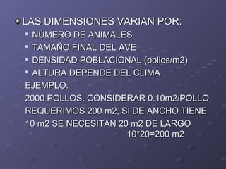 LAS DIMENSIONES VARIAN POR:LAS DIMENSIONES VARIAN POR:

NÚMERO DE ANIMALESNÚMERO DE ANIMALES

TAMAÑO FINAL DEL AVETAMAÑO FINAL DEL AVE

DENSIDAD POBLACIONAL (pollos/m2)DENSIDAD POBLACIONAL (pollos/m2)

ALTURA DEPENDE DEL CLIMAALTURA DEPENDE DEL CLIMA
EJEMPLO:EJEMPLO:
2000 POLLOS, CONSIDERAR 0.10m2/POLLO2000 POLLOS, CONSIDERAR 0.10m2/POLLO
REQUERIMOS 200 m2, SI DE ANCHO TIENEREQUERIMOS 200 m2, SI DE ANCHO TIENE
10 m2 SE NECESITAN 20 m2 DE LARGO10 m2 SE NECESITAN 20 m2 DE LARGO
10*20=200 m210*20=200 m2
 