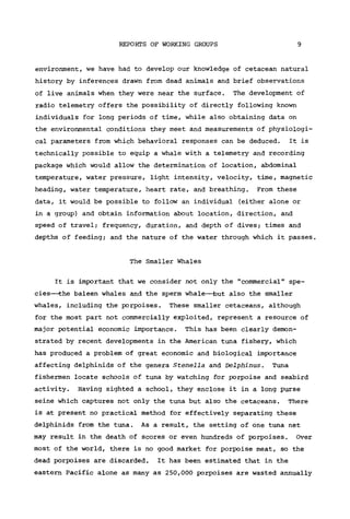 REPORTS OF WORKING GROUPS 9
environment, we have had to develop our knowledge of cetacean natural
history by inferences drawn from dead animals and brief observations
of live animals when they were near the surface. The development of
radio telemetry offers the possibility of directly following known
individuals for long periods of time, while also obtaining data on
the environmental conditions they meet and measurements of physiologi-
cal parameters from which behavioral responses can be deduced. It is
technically possible to equip a whale with a telemetry and recording
package which would allow the determination of location, abdominal
temperature, water pressure, light intensity, velocity, time, magnetic
heading, water temperature, heart rate, and breathing. From these
data, it would be possible to follow an individual (either alone or
in a group) and obtain information about location, direction, and
speed of travel; frequency, duration, and depth of dives; times and
depths of feeding; and the nature of the water through which it passes.
The Smaller Whales
It is important that we consider not only the "commercial" spe-
cies—the baleen whales and the sperm whale—but also the smaller
whales, including the porpoises. These smaller cetaceans, although
for the most part not commercially exploited, represent a resource of
major potential economic importance. This has been clearly demon-
strated by recent developments in the American tuna fishery, which
has produced a problem of great economic and biological importance
affecting delphinids of the genera Stenella and Delphinus. Tuna
fishermen locate schools of tuna by watching for porpoise and seabird
activity. Having sighted a school, they enclose it in a long purse
seine which captures not only the tuna but also the cetaceans. There
is at present no practical method for effectively separating these
delphinids from the tuna. As a result, the setting of one tuna net
may result in the death of scores or even hundreds of porpoises. Over
most of the world, there is no good market for porpoise meat, so the
dead porpoises are discarded. It has been estimated that in the
eastern Pacific alone as many as 250,000 porpoises are wasted annually
 
