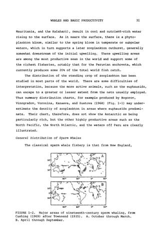 WHALES AND BASIC PRODUCTIVITY 31
Mauritania, and the Kalahari), result in cool and nutrient-rich water
rising to the surface. As it nears the surface, there is a phyto-
plankton bloom, similar to the spring bloom in temperate or subpolar
waters, which in turn supports a later Zooplankton outburst, generally
somewhat downstream of the initial upwelling. These upwelling areas
are among the most productive seas in the world and support some of
the richest fisheries, notably that for the Peruvian anchoveta, which
currently produces some 20% of the total world fish catch.
The distribution of the standing crop of Zooplankton has been
studied in most parts of the world. There are some difficulties of
interpretation, because the more active animals, such as the euphausids,
can escape to a greater or lesser extent from the nets usually employed.
Thus summary distribution charts, for example produced by Bogorov,
Vinogradov, Voronina, Kanaeva, and Suetova (1968) (Fig. 1-1) may under-
estimate the density of Zooplankton in areas where euphausids predomi-
nate. Their chart, therefore, does not show the Antarctic as being
particularly rich, but the other highly productive areas such as the
North Pacific, the North Atlantic, and the waters off Peru are clearly
illustrated.
General Distribution of Sperm Whales
The classical sperm whale fishery is that from New England,
FIGURE 1-2. Major areas of nineteenth-century sperm whaling, from
Cushing (1969) after Townsend (1935). A. October through March.
B. April through September.
 