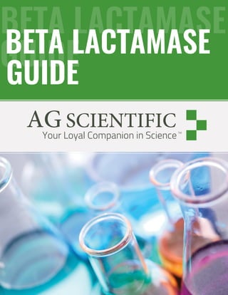 1
BETA LACTAMASE
GUIDEBETA LACTAMASE
GUIDE
Your Loyal Companion in ScienceTM
 