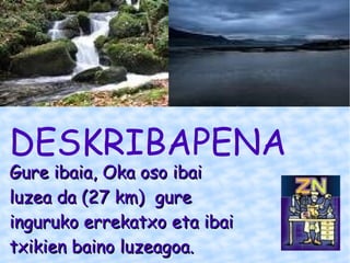 Gure ibaia, Oka oso ibai luzea da (27 km)  gure inguruko errekatxo eta ibai txikien baino luzeagoa.   DESKRIBAPENA 