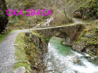 OKA IBAIA 