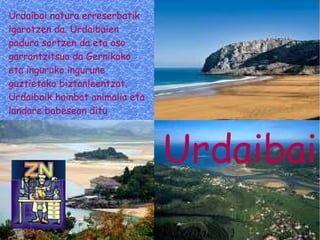 Urdaibai natura erreserbatik igarotzen da. Urdaibaien padura sortzen da eta oso garrantzitsua da Gernikako eta inguruko ingurune guztietako biztanleentzat. Urdaibaik hainbat animalia eta landare babesean ditu  Urdaibai 