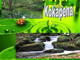 Kokapena 