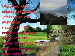 Oka ibaia Oiz mendian (Bizkaian) jaiotzen da eta Mundakan  itsasoratu. Gu   erdialdeko ibilguan gaude eta eta hemen 8 metroko zabalera du gutxi gora behera. 