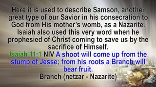 257-258 The Levites and The Service of the Sanctuary-He Shall be Called a Nazarene