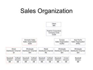 Sales Organization Baseball Division BB Softball Division SB Direct Distribution Channel DI Baseball Division BB Softball Division SB Wholesale Distribution Channel WH Baseball Division BB Softball Division SB Retail Distribution Channel RE Domestic Sales Sales Organization So00 Baseball Division BB Cricket Division SB Wholesale Distribution Channel WH Europe Sales Organization EURO Baseball Division BB Wholesale Distribution Channel WH Asia Pacific Sales Organization APAC Pastime Corporation Company Code CC00 Client 860 