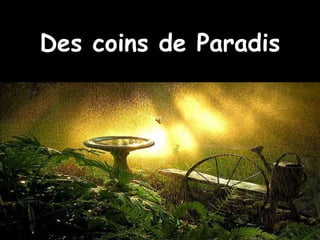 Des coins de Paradis
 