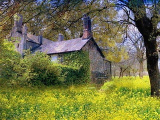 257386 jacqueline blais