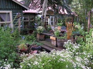 257386 jacqueline blais