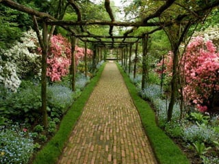 257386 jacqueline blais