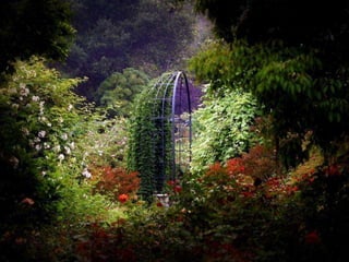 257386 jacqueline blais