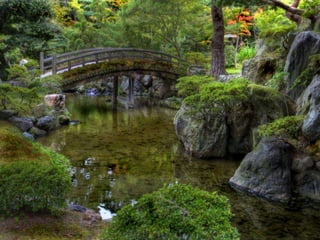 257386 jacqueline blais