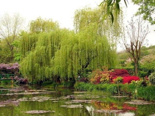 257386 jacqueline blais