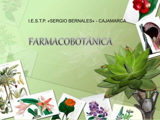 I.E.S.T.P. «SERGIO BERNALES» - CAJAMARCA
 