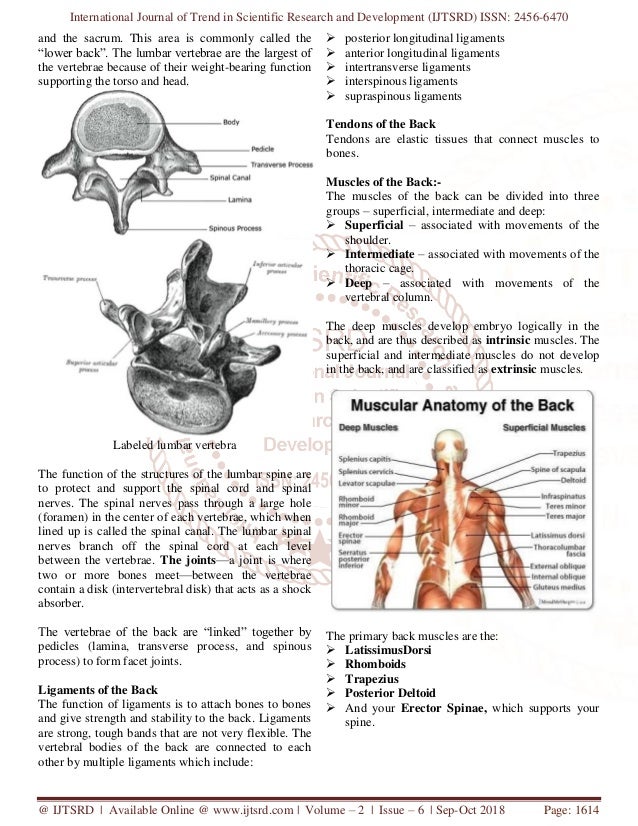 Mechanical Low Backache