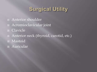  Anterior shoulder
 Acromioclavicular joint
 Clavicle
 Anterior neck (thyroid, carotid, etc.)
 Mastoid
 Auricular
 