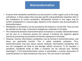• Enzymes that metabolize xenobiotics are also present in other organs such as the lungs
and kidneys. In these organs they may play specific and qualitatively important roles in
the metabolism of certain xenobiotics. Metabolites formed in one organ may be
further metabolized in a second organ. Bacteria in the intestine may also participate in
biotransformation.
• Metabolites of xenobiotics can be excreted by the kidneys or via the bile. They can also
be exhaled via the lungs, or bound to endogenous molecules in the body.
• The relationship between biotransformation and toxicity is complex. Biotransformation
can be seen as a necessary process for survival. It protects the organism against
toxicity by preventing accumulation of harmful substances in the body.
• However, reactive intermediary metabolites may be formed in biotransformation, and
these are potentially harmful. This is called metabolic activation. Thus,
biotransformation may also induce toxicity. Oxidized, intermediary metabolites that
are not conjugated can bind to and damage cellular structures. If, for example, a
xenobiotic metabolite binds to DNA, a mutation can be induced (see “Genetic
toxicology”). If the biotransformation system is overloaded, a massive destruction of
essential proteins or lipid membranes may occur. This can result in cell death.
Biotransformation
 