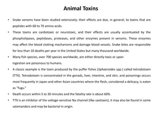 • Snake venoms have been studied extensively; their effects are due, in general, to toxins that are
peptides with 60 to 70 amino acids.
• These toxins are cardiotoxic or neurotoxic, and their effects are usually accentuated by the
phospholipases, peptidases, proteases, and other enzymes present in venoms. These enzymes
may affect the blood clotting mechanisms and damage blood vessels. Snake bites are responsible
for less than 10 deaths per year in the United States but many thousand worldwide.
• Many fish species, over 700 species worldwide, are either directly toxic or upon
ingestion are poisonous to humans.
• A classic example is the toxin produced by the puffer fishes (Sphaeroides spp.) called tetrodotoxin
(TTX). Tetrodotoxin is concentrated in the gonads, liver, intestine, and skin, and poisonings occurs
most frequently in Japan and other Asian countries where the flesh, considered a delicacy, is eaten
as “fugu.”
• Death occurs within 5 to 30 minutes and the fatality rate is about 60%.
• TTX is an inhibitor of the voltage-sensitive Na channel (like saxitoxin); it may also be found in some
salamanders and may be bacterial in origin.
Animal Toxins
 