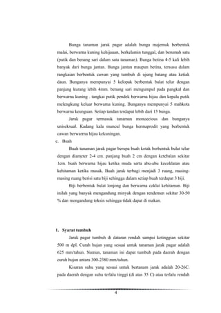 Bunga tanaman jarak pagar adalah bunga majemuk berbentuk
malai, berwarna kuning kehijauan, berkelamin tunggal, dan berumah satu
(putik dan benang sari dalam satu tanaman). Bunga betina 4-5 kali lebih
banyak dari bunga jantan. Bunga jantan maupun betina, tersusu dalam
rangkaian berbentuk cawan yang tumbuh di ujung batang atau ketiak
daun. Bunganya mempunyai 5 kelopak berbentuk bulat telur dengan
panjang kurang lebih 4mm. benang sari mengumpul pada pangkal dan
berwarna kuning . tangkai putik pendek berwarna hijau dan kepala putik
melengkung keluar berwarna kuning. Bunganya mempunyai 5 mahkota
berwarna keunguan. Setiap tandan terdapat lebih dari 15 bunga.
      Jarak pagar termasuk tanaman monoecious dan bunganya
uniseksual. Kadang kala muncul bunga hermaprodit yang berbentuk
cawan berwarrna hijau kekuningan.
c. Buah
      Buah tanaman jarak pagar berupa buah kotak berbentuk bulat telur
dengan diameter 2-4 cm. panjang buah 2 cm dengan ketebalan sekitar
1cm. buah berwarna hijau ketika muda serta abu-abu kecoklatan atau
kehitaman ketika masak. Buah jarak terbagi menjadi 3 ruang, masing-
masing ruang berisi satu biji sehingga dalam setiap buah terdapat 3 biji.
      Biji berbentuk bulat lonjong dan berwarna coklat kehitaman. Biji
inilah yang banyak mengandung minyak dengan rendemen sekitar 30-50
% dan mengandung toksin sehingga tidak dapat di makan.




1. Syarat tumbuh
      Jarak pagar tumbuh di dataran rendah sampai ketinggian sekitar
500 m dpl. Curah hujan yang sesuai untuk tanaman jarak pagar adalah
625 mm/tahun. Namun, tanaman ini dapat tumbuh pada daerah dengan
curah hujan antara 300-2380 mm/tahun.
      Kisaran suhu yang sesuai untuk bertanam jarak adalah 20-26C.
pada daerah dengan suhu terlalu tinggi (di atas 35 C) atau terlalu rendah



                                4
 