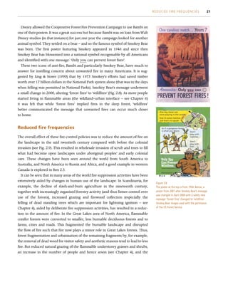 Disney allowed the Cooperative Forest Fire Prevention Campaign to use Bambi on
one of their posters. It was a great success but because Bambi was on loan from Walt
Disney studios (in that instance) for just one year the campaign looked for another
animal symbol. They settled on a bear – and so the famous symbol of Smokey Bear
was born. The first poster featuring Smokey appeared in 1946 and since then
Smokey Bear has blossomed into a national symbol recognisable by all Americans
and identified with one message: ‘Only you can prevent forest fires’.
These two icons of anti-fire, Bambi and particularly Smokey Bear, have much to
answer for instilling concern about unwanted fire in many Americans. It is sug-
gested by Ling  Storer (1990) that by 1973 Smokey’s efforts had saved timber
worth over 17 billion dollars in the National Park system alone (that was in the days
when felling was permitted in National Parks). Smokey Bear’s message underwent
a small change in 2000, altering ‘forest fires’ to ‘wildfires’ (Fig. 2.8). As more people
started living in flammable areas (the wildland–urban interface – see Chapter 6)
it was felt that while ‘forest fires’ implied fires in the deep forest, ‘wildfires’
better communicated the message that unwanted fires can occur much closer
to home.
Reduced fire frequencies
The overall effect of these fire-control policies was to reduce the amount of fire on
the landscape in the mid twentieth century compared with before the colonial
invasion (see Fig. 2.9). This resulted in wholesale invasion of scrub and trees to fill
what had become open landscapes under aboriginal peoples’ and early colonial
care. These changes have been seen around the world from South America to
Australia, and North America to Russia and Africa, and a good example in western
Canada is explored in Box 2.3.
It can be seen that in many areas of the world fire suppression activities have been
extensively aided by changes in human use of the landscape. In Scandinavia, for
example, the decline of slash-and-burn agriculture in the nineteenth century,
together with increasingly organised forestry activity (and thus firmer control over
use of the forests), increased grazing and firewood collection (especially the
felling of dead standing trees which are important for lightning ignition – see
Chapter 4), aided by deliberate fire suppression activities, has resulted in a reduc-
tion in the amount of fire. In the Great Lakes area of North America, flammable
conifer forests were converted to smaller, less burnable deciduous forests and to
farms, cities and roads. This fragmented the burnable landscape and disrupted
the flow of fire such that fire now plays a minor role in Great Lakes forests. Thus,
forest fragmentation and urbanisation of the remaining fragments by, for example,
the removal of dead wood for visitor safety and aesthetic reasons tend to lead to less
fire. But reduced natural grazing of the flammable understorey grasses and shrubs,
an increase in the number of people and hence arson (see Chapter 4), and the
One day these rats
were playing in the woods
So if a gorgeous forest
is what you desire Don’t
play with
matches…
Don’t
play with
fire!
www.smokeybear.com
One lit some matches —
and that’s no good!
Figure 2.8
The poster at the top is from 1954. Below, a
poster from 2001 after Smokey Bear’s message
was changed in April 2000 with a subtly new
message: ‘forest fires’ changed to ‘wildfires’.
Smokey Bear images used with the permission
of the US Forest Service.
REDUCED FIRE FREQUENCIES 21
 