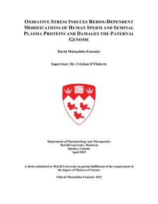 OXIDATIVE STRESS INDUCES REDOX-DEPENDENT
MODIFICATIONS OF HUMAN SPERM AND SEMINAL
PLASMA PROTEINS AND DAMAGES THE PATERNAL
GENOME
David Matsushita-Fournier
Supervisor: Dr. Cristian O’Flaherty
Department of Pharmacology and Therapeutics
McGill University, Montreal
Quebec, Canada
April 2015
A thesis submitted to McGill University in partial fulfillment of the requirement of
the degree of Masters of Science
©David Matsushita-Fournier 2015
 