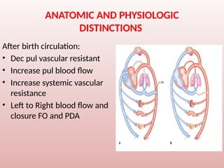 ANATOMIC AND PHYSIOLOGIC
DISTINCTIONS
After birth circulation:
• Dec pul vascular resistant
• Increase pul blood flow
• Increase systemic vascular
resistance
• Left to Right blood flow and
closure FO and PDA
 