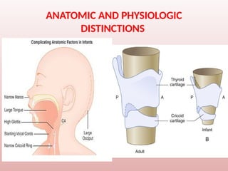 ANATOMIC AND PHYSIOLOGIC
DISTINCTIONS
 