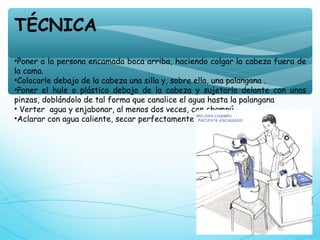 TÉCNICA
•Poner a la persona encamada boca arriba, haciendo colgar la cabeza fuera de
la cama.
•Colocarle debajo de la cabeza una silla y, sobre ella, una palangana .
•Poner el hule o plástico debajo de la cabeza y sujetarlo delante con unas
pinzas, doblándolo de tal forma que canalice el agua hasta la palangana
• Verter  agua y enjabonar, al menos dos veces, con champú.
•Aclarar con agua caliente, secar perfectamente y peinar.
 