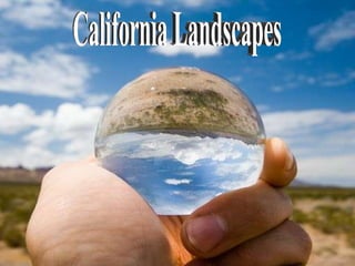 California Landscapes 