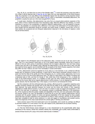 Tokyo Vernacular Common Spaces Local Histories Found Objects Jordan ...